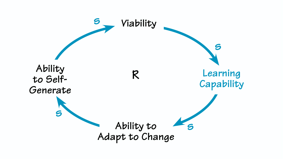 THE EVOLUTIONARY CYCLE IN ORGANIZATIONS