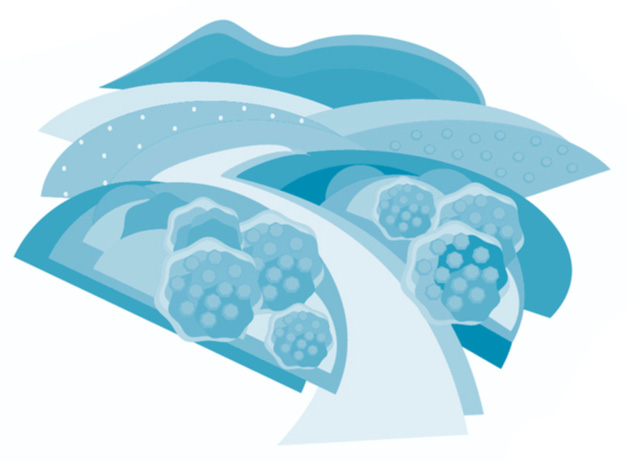 that meant to begin down the path of knowledge and exploration to find out how to become a learning organization.