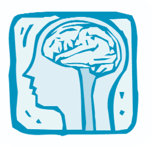 our first task should be to attend to the physical/emotional status of learners