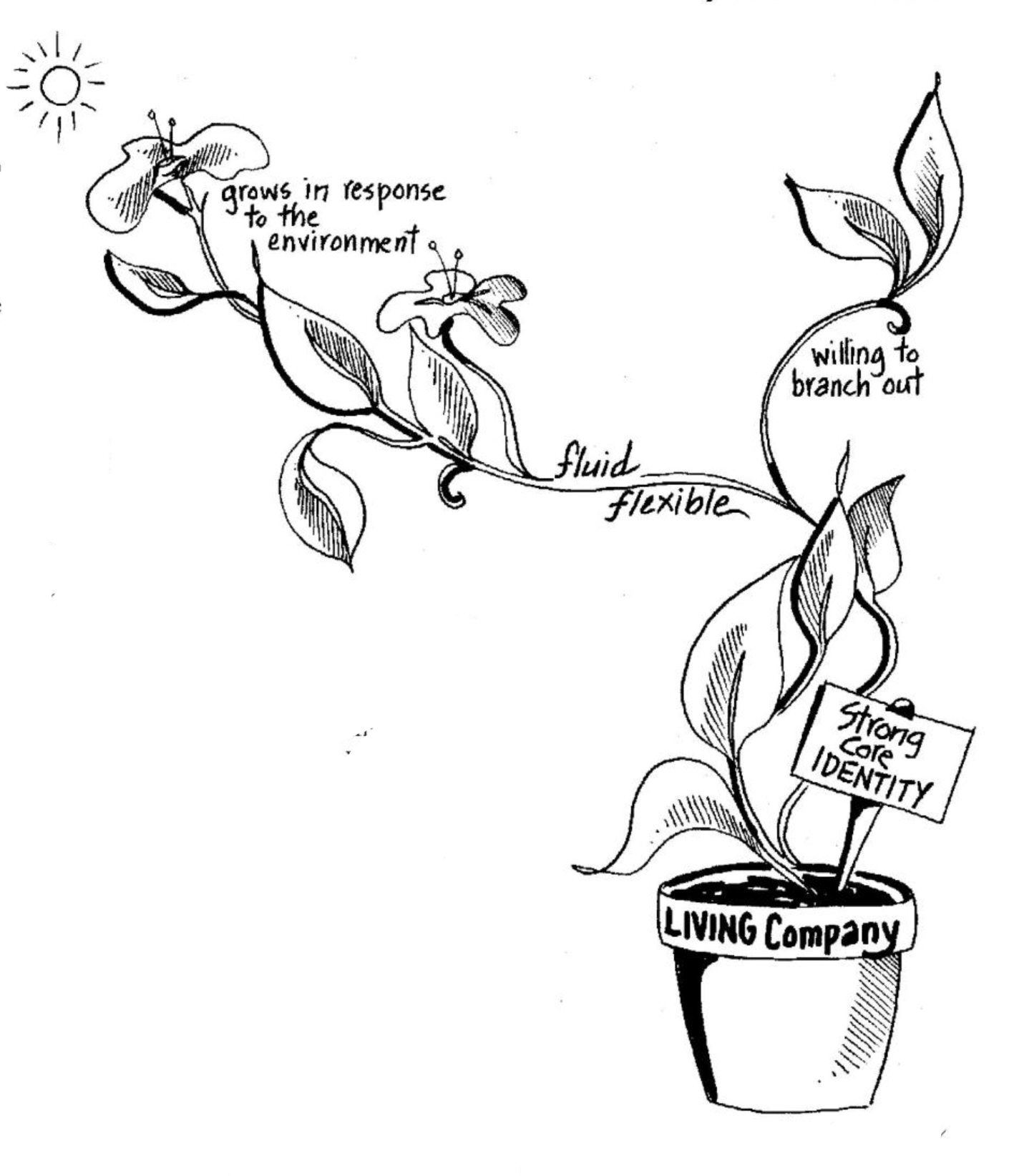 companies that were older than Shell