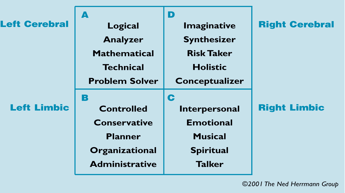 HERRMANN BRAIN DOMINANCE MODEL