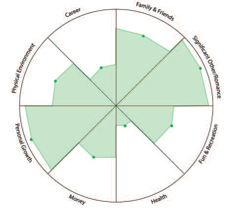 SAMPLE LIFE-BALANCE WHEEL