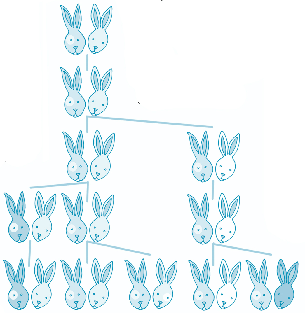 An example of Exponential growth