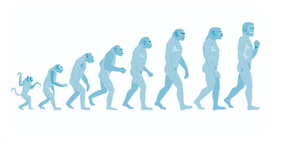 fundamental knowledge processes at work behind all