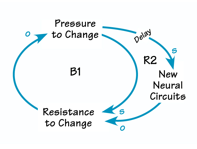 MAINTAINING EQUILIBRIUM