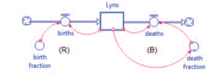 an operational stock and flow model in STELLA