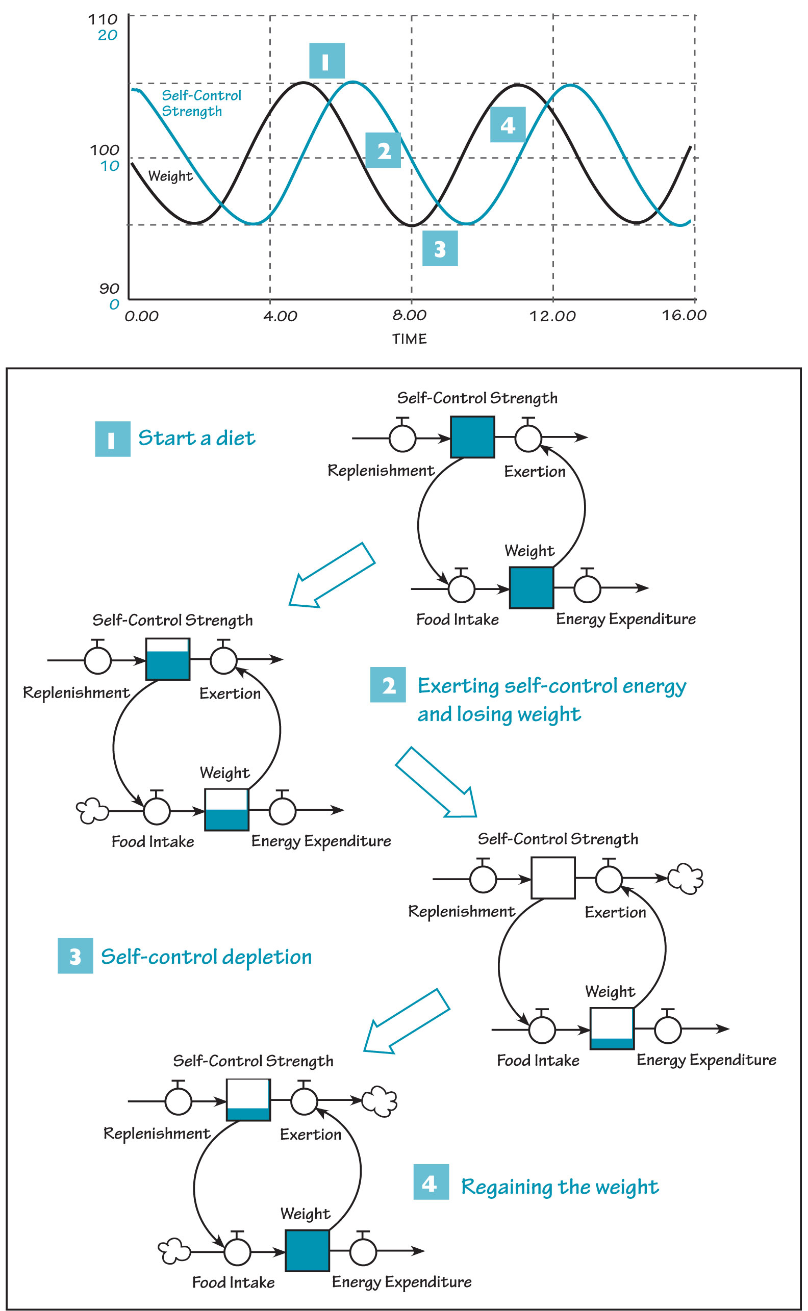 THE LOSE-GAIN CYCLE