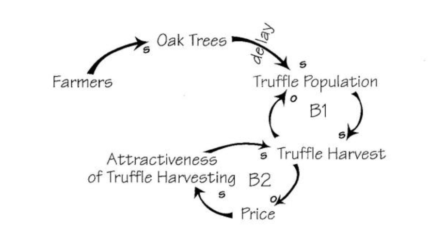 Closing Feedback Loops