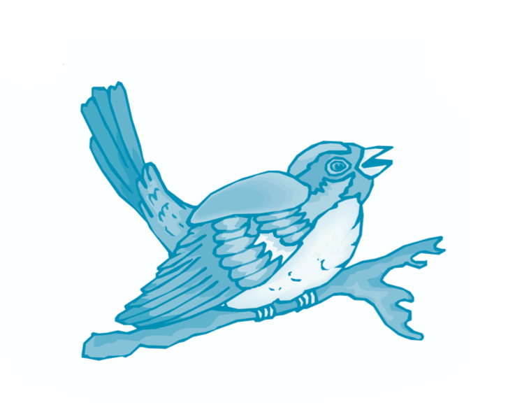 The tips of the branches